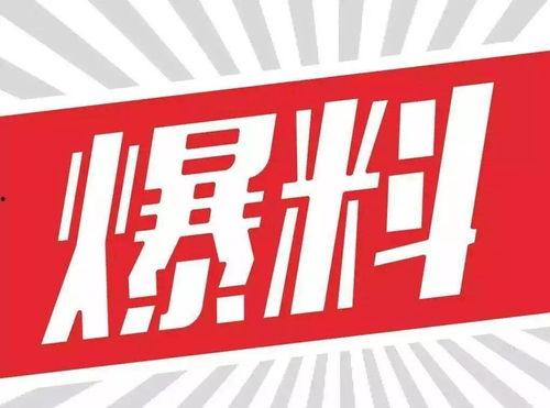 乐堂最新爆料消息新闻,揭秘神秘项目，行业动态再掀波澜