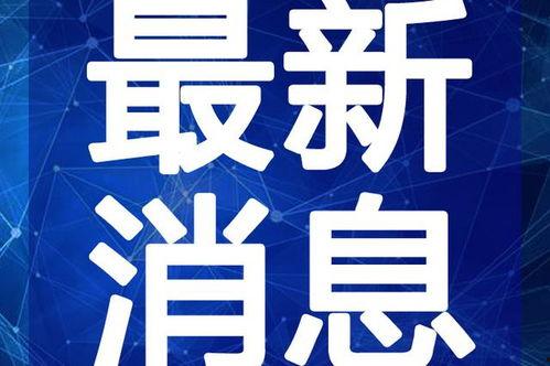 武邑爆料最新消息新闻视频,视频揭露惊人真相，详情敬请关注！